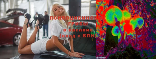 гашик Арсеньев