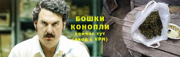 сатива Балахна