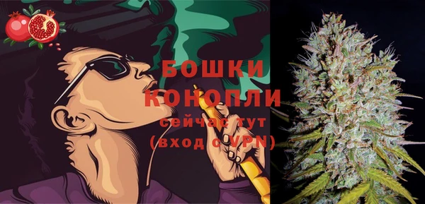 сатива Балахна