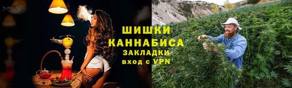 сатива Балахна
