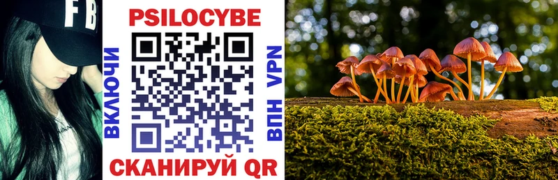 Псилоцибиновые грибы GOLDEN TEACHER Городище